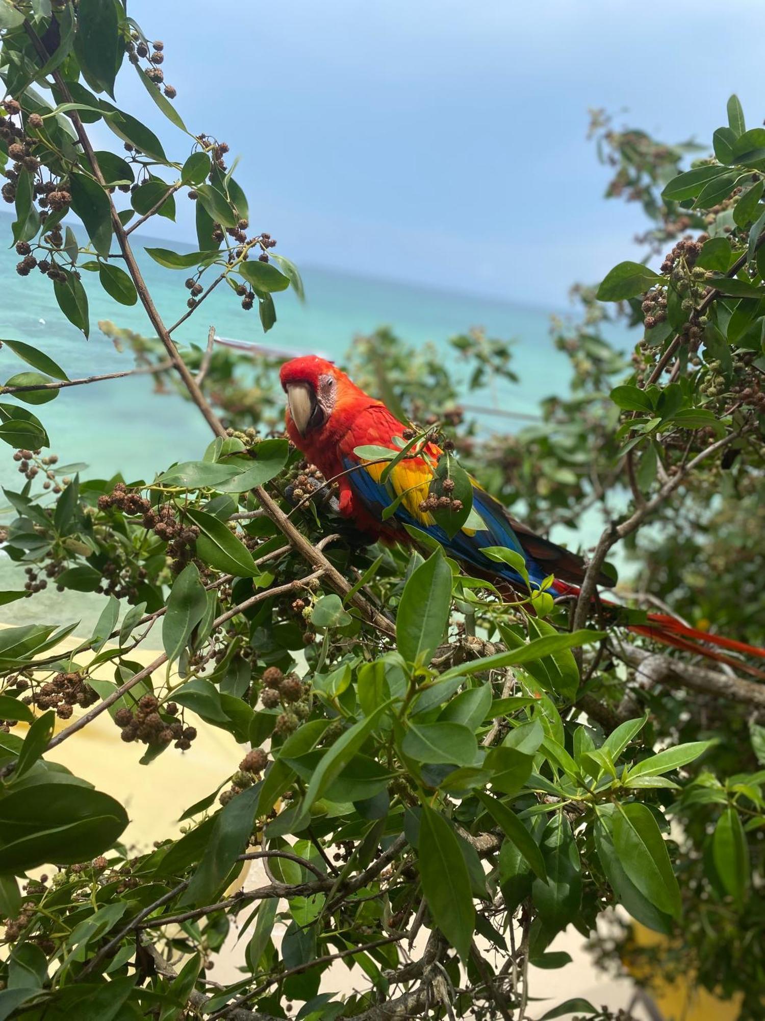 Posada Shekinah Baru Playa Blanca Ngoại thất bức ảnh